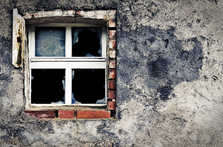Window